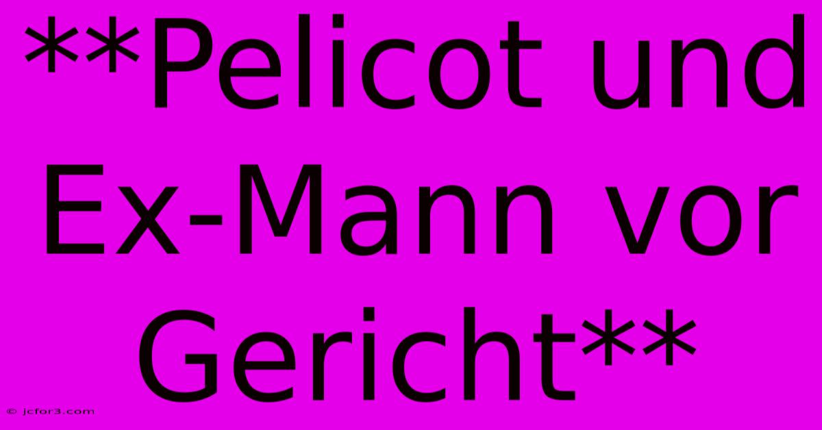 **Pelicot Und Ex-Mann Vor Gericht**