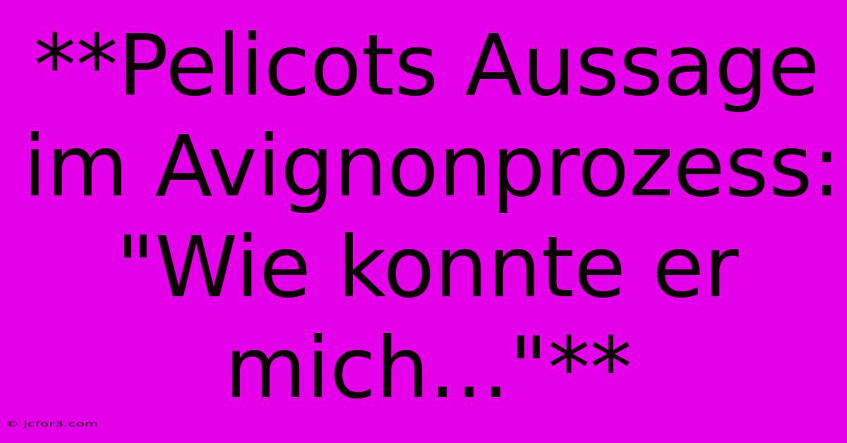 **Pelicots Aussage Im Avignonprozess: 