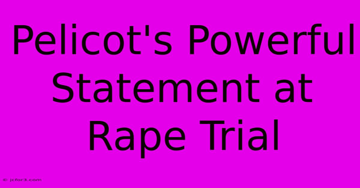 Pelicot's Powerful Statement At Rape Trial 