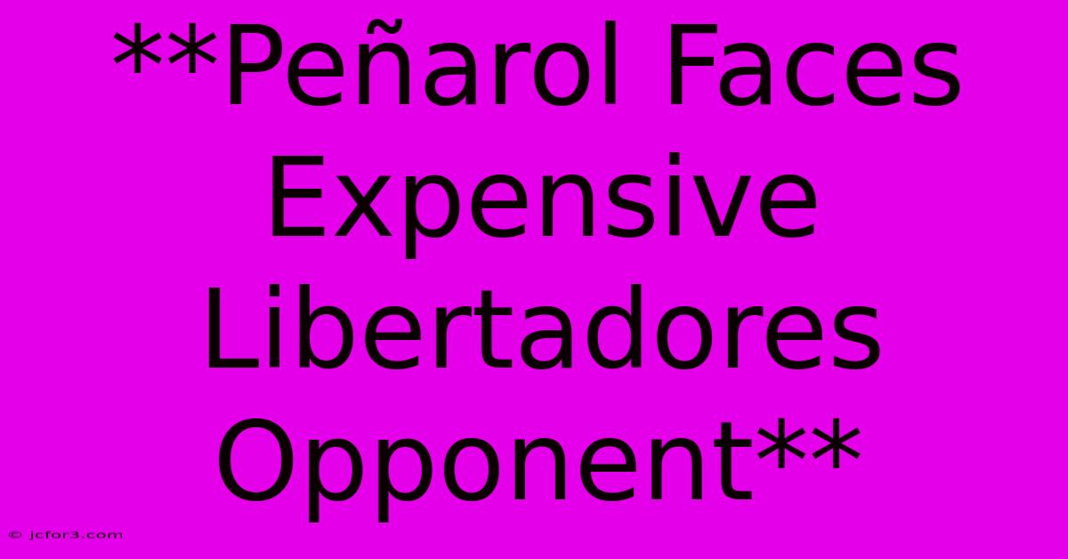 **Peñarol Faces Expensive Libertadores Opponent**