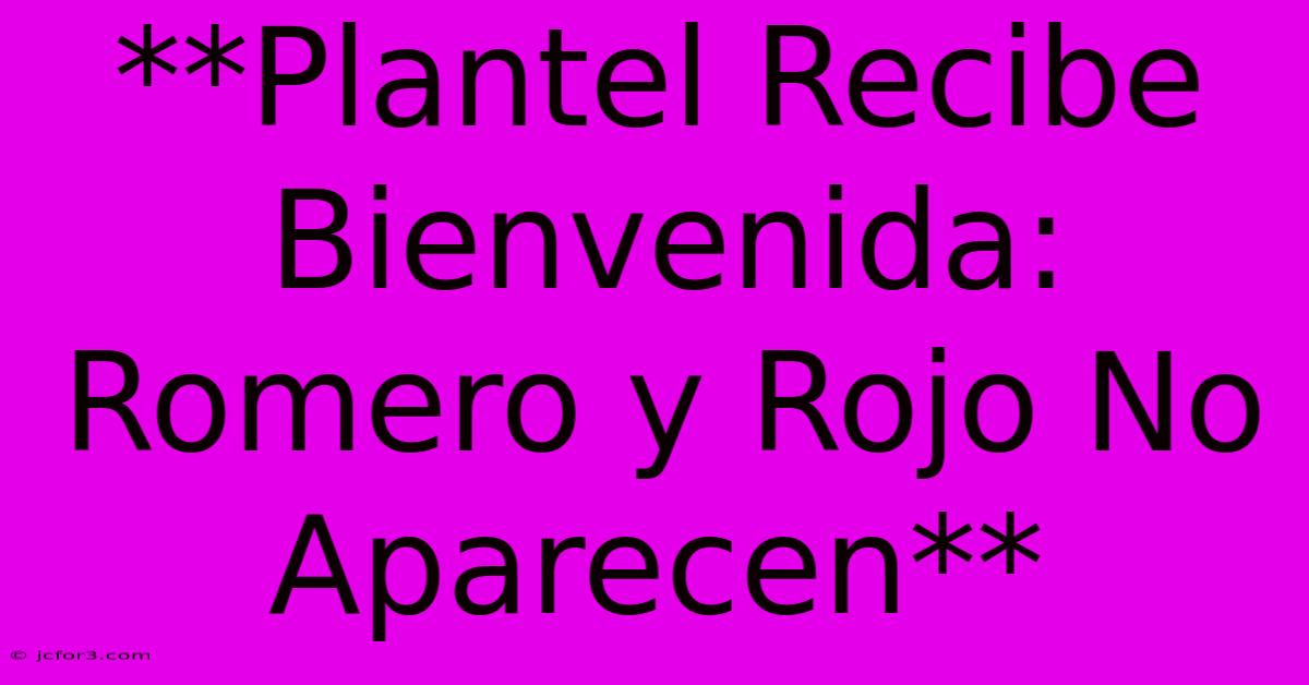 **Plantel Recibe Bienvenida: Romero Y Rojo No Aparecen**