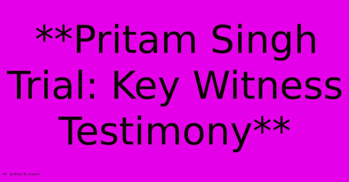 **Pritam Singh Trial: Key Witness Testimony**