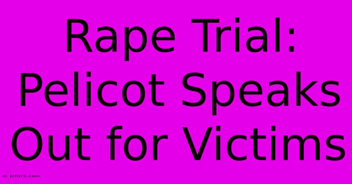 Rape Trial: Pelicot Speaks Out For Victims