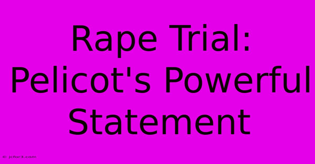 Rape Trial: Pelicot's Powerful Statement 