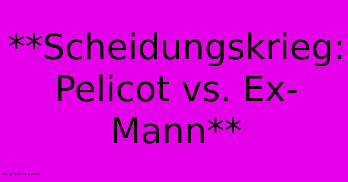 **Scheidungskrieg: Pelicot Vs. Ex-Mann**