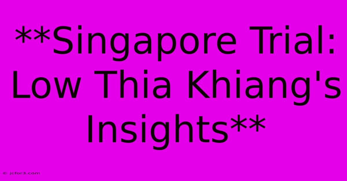 **Singapore Trial: Low Thia Khiang's Insights**