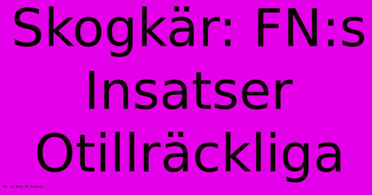 Skogkär: FN:s Insatser Otillräckliga