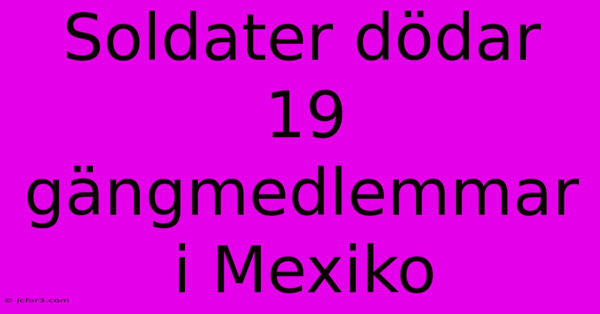 Soldater Dödar 19 Gängmedlemmar I Mexiko