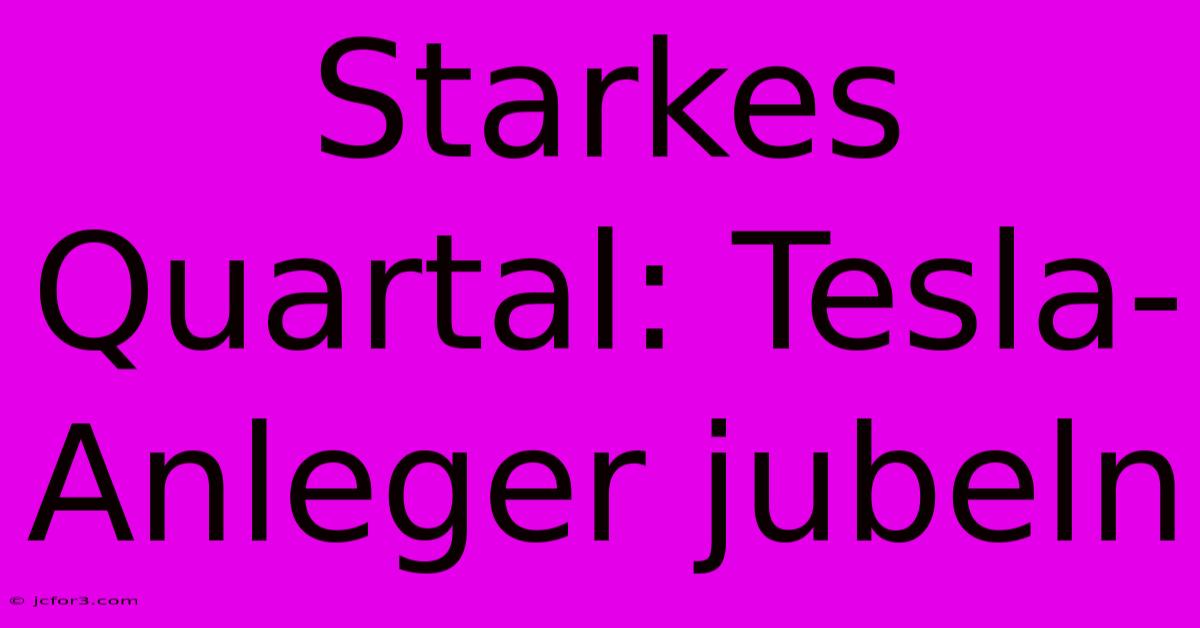 Starkes Quartal: Tesla-Anleger Jubeln