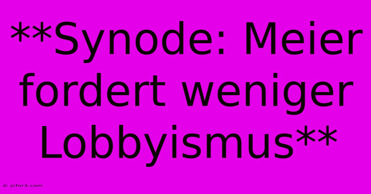 **Synode: Meier Fordert Weniger Lobbyismus**