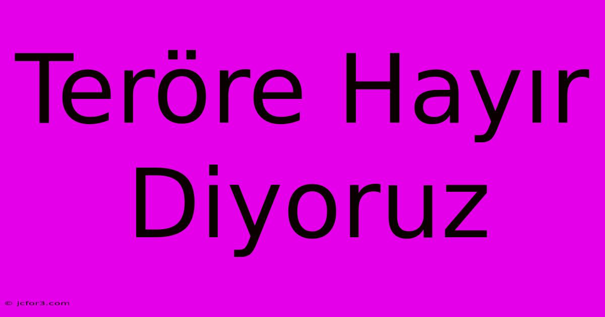 Teröre Hayır Diyoruz