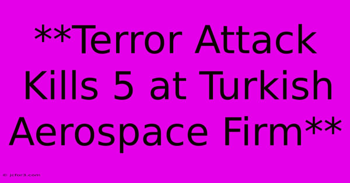 **Terror Attack Kills 5 At Turkish Aerospace Firm**