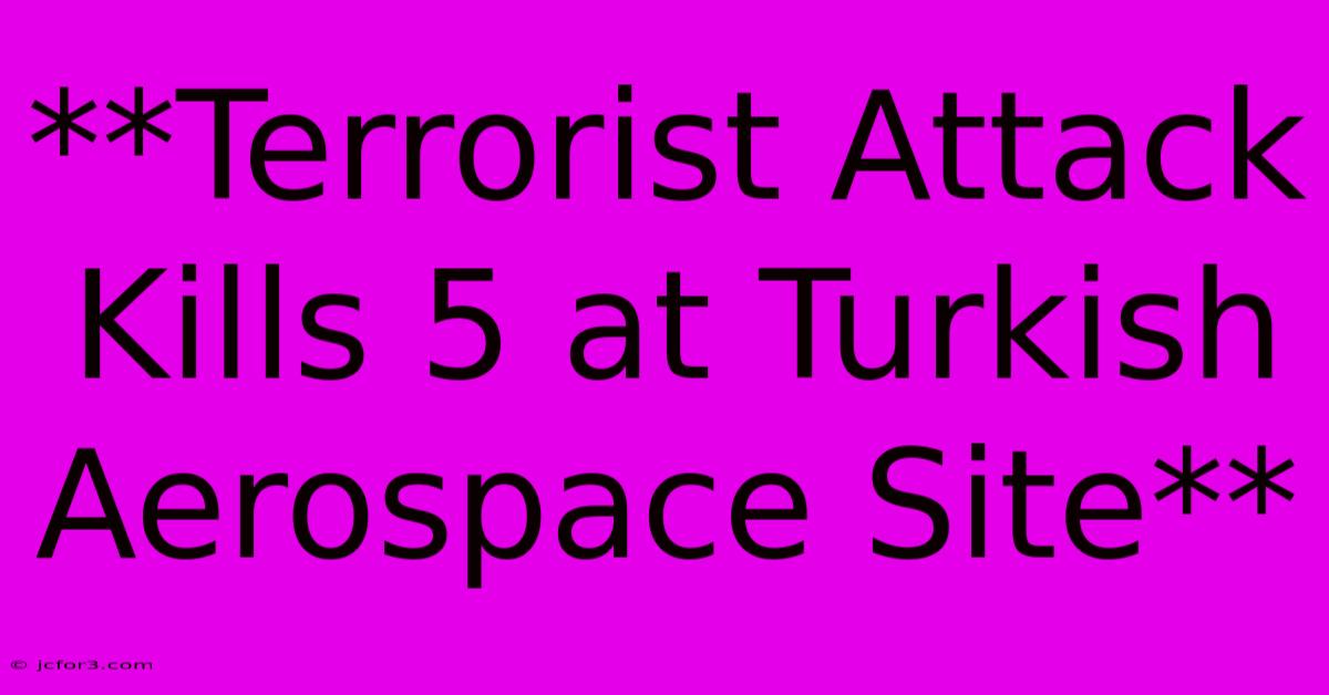 **Terrorist Attack Kills 5 At Turkish Aerospace Site**