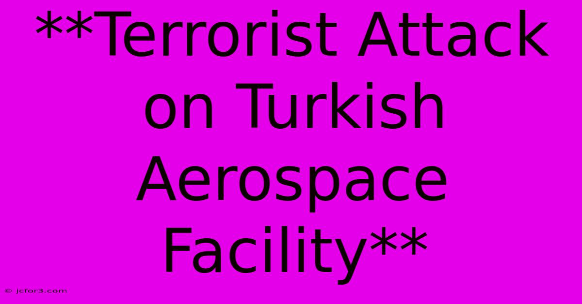 **Terrorist Attack On Turkish Aerospace Facility** 