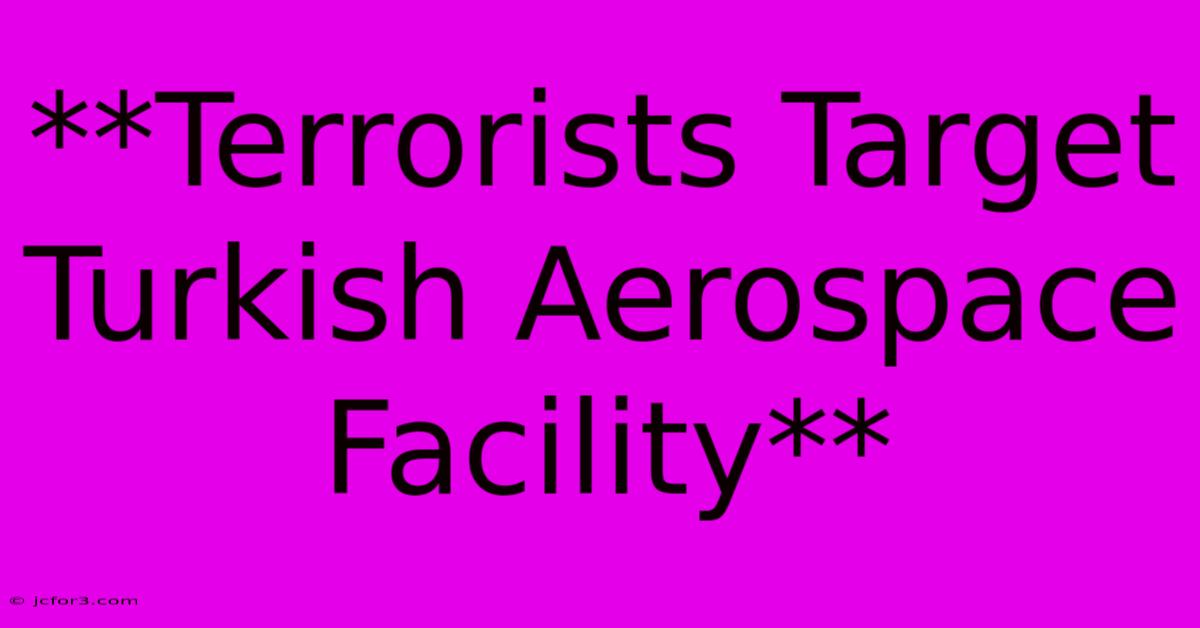 **Terrorists Target Turkish Aerospace Facility**