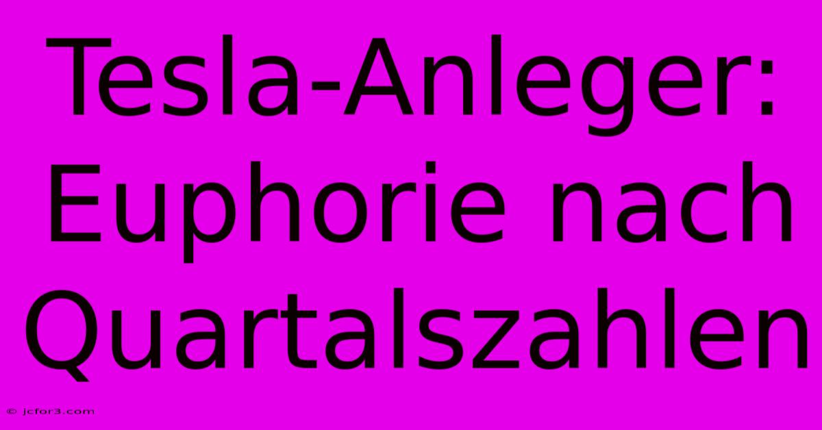 Tesla-Anleger: Euphorie Nach Quartalszahlen 