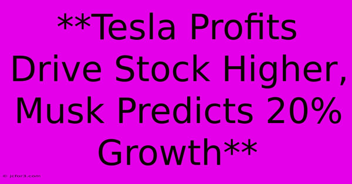 **Tesla Profits Drive Stock Higher, Musk Predicts 20% Growth**