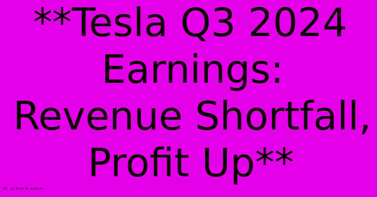 **Tesla Q3 2024 Earnings: Revenue Shortfall, Profit Up**