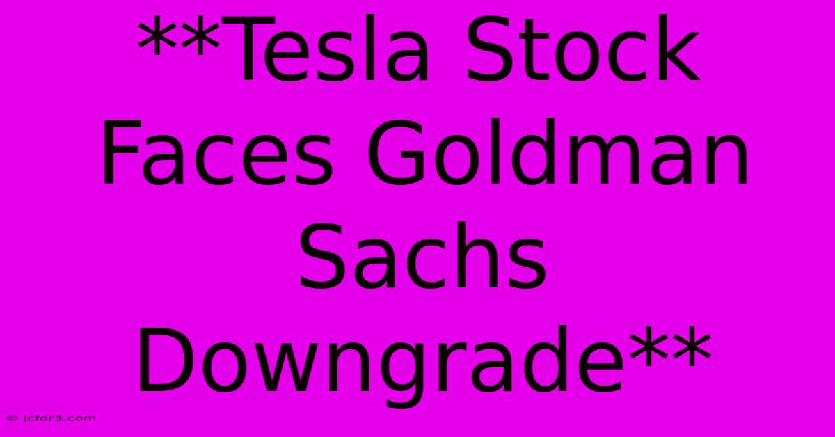 **Tesla Stock Faces Goldman Sachs Downgrade**