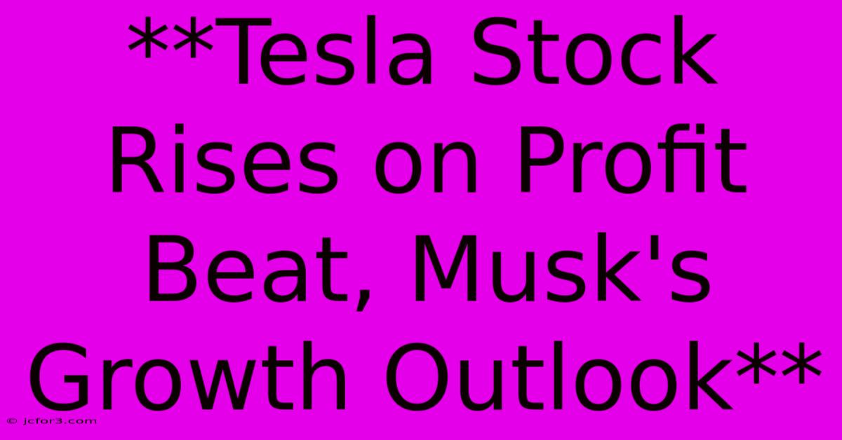 **Tesla Stock Rises On Profit Beat, Musk's Growth Outlook**