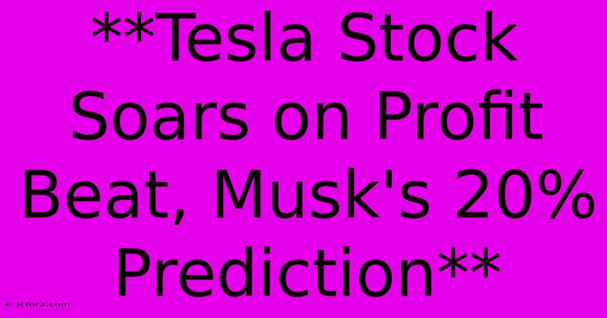 **Tesla Stock Soars On Profit Beat, Musk's 20% Prediction**