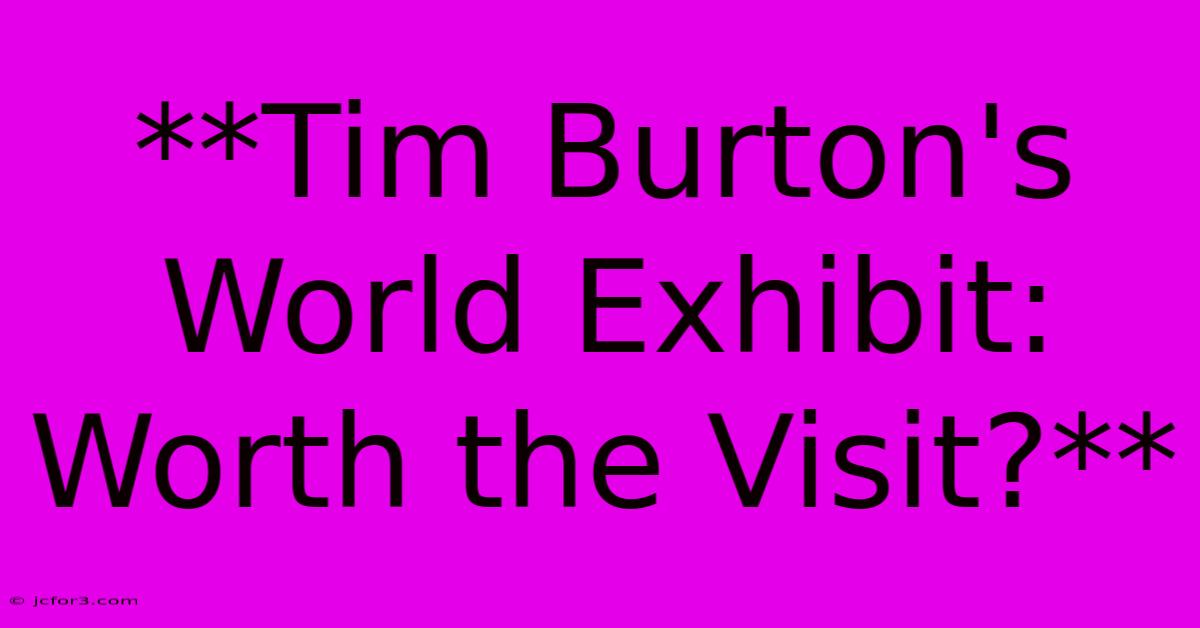 **Tim Burton's World Exhibit: Worth The Visit?**