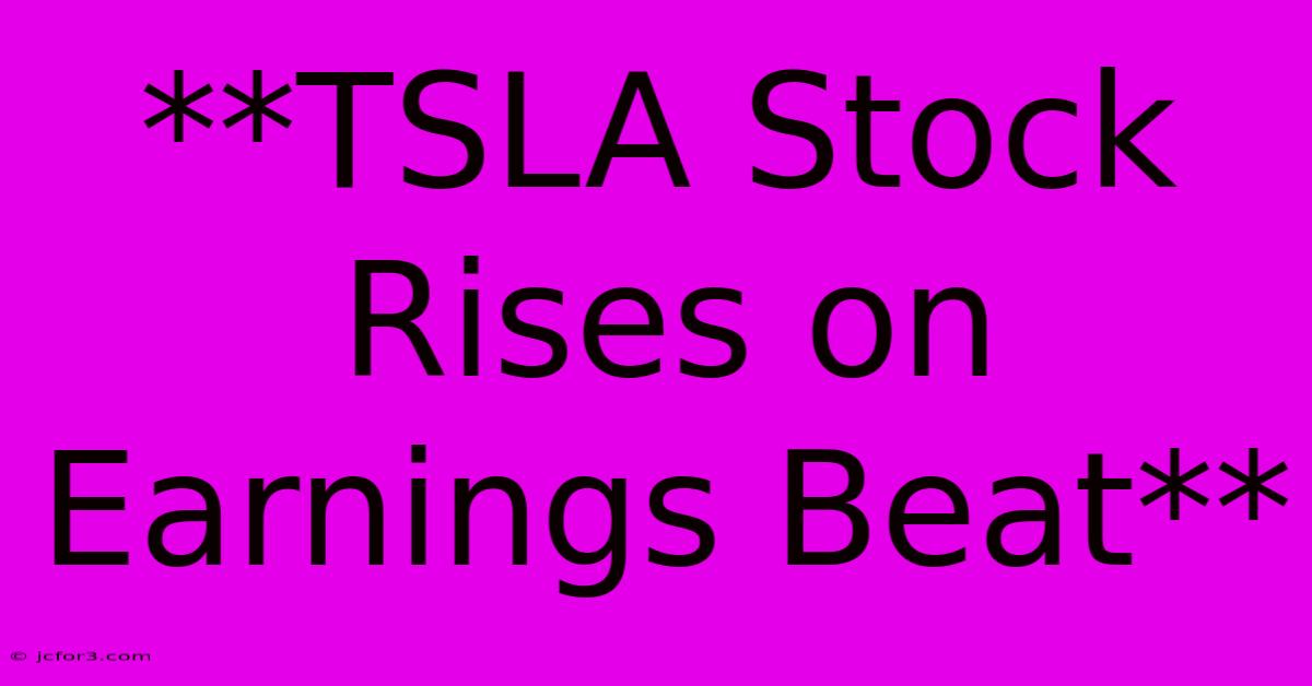 **TSLA Stock Rises On Earnings Beat**