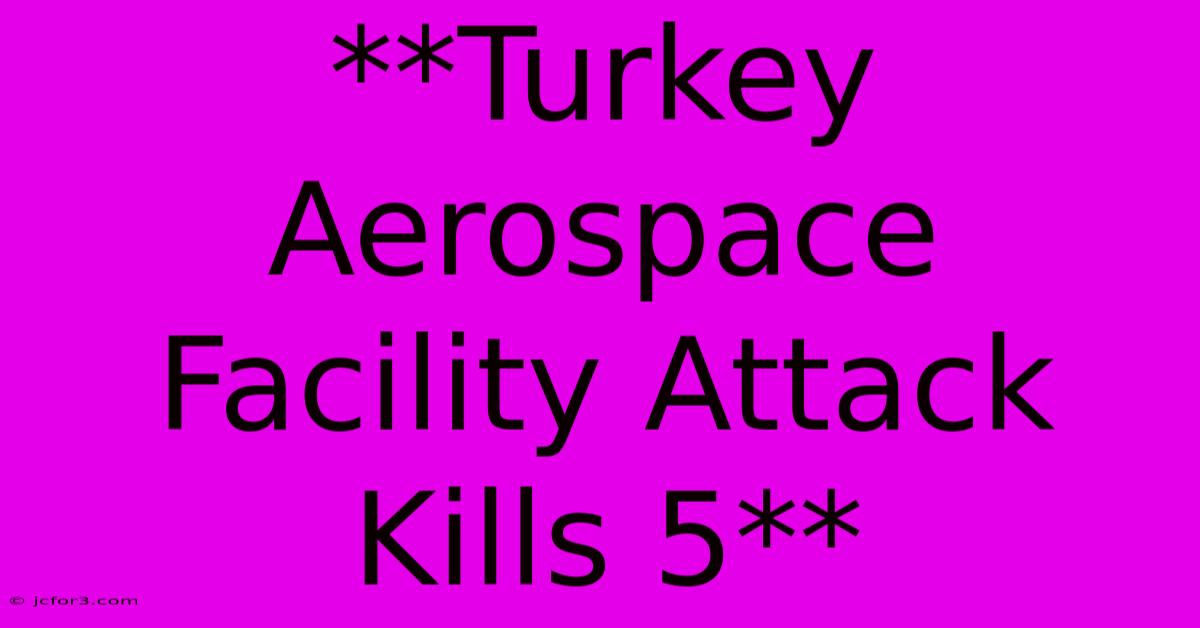 **Turkey Aerospace Facility Attack Kills 5** 