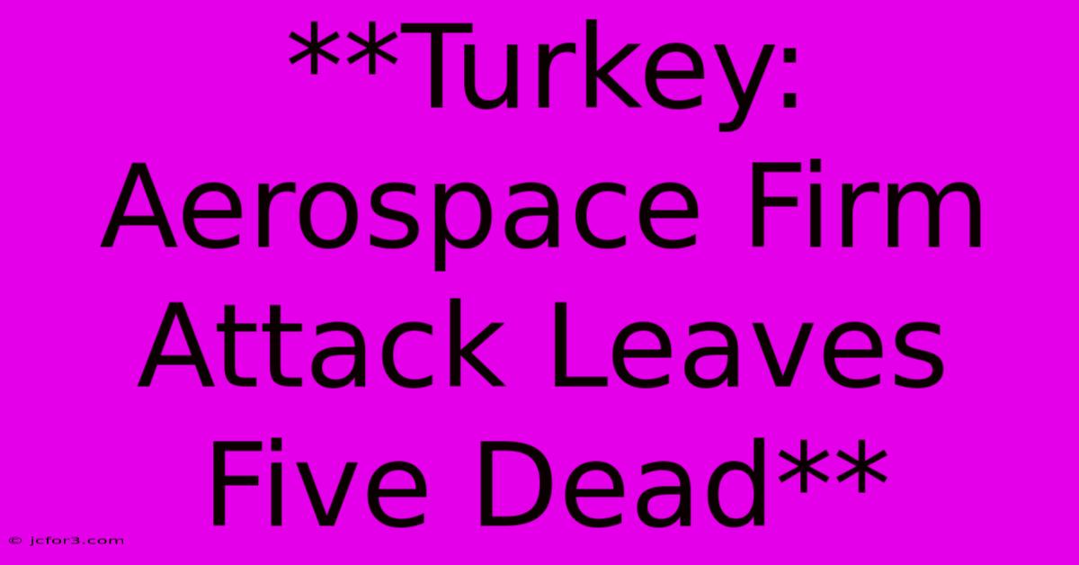 **Turkey: Aerospace Firm Attack Leaves Five Dead** 