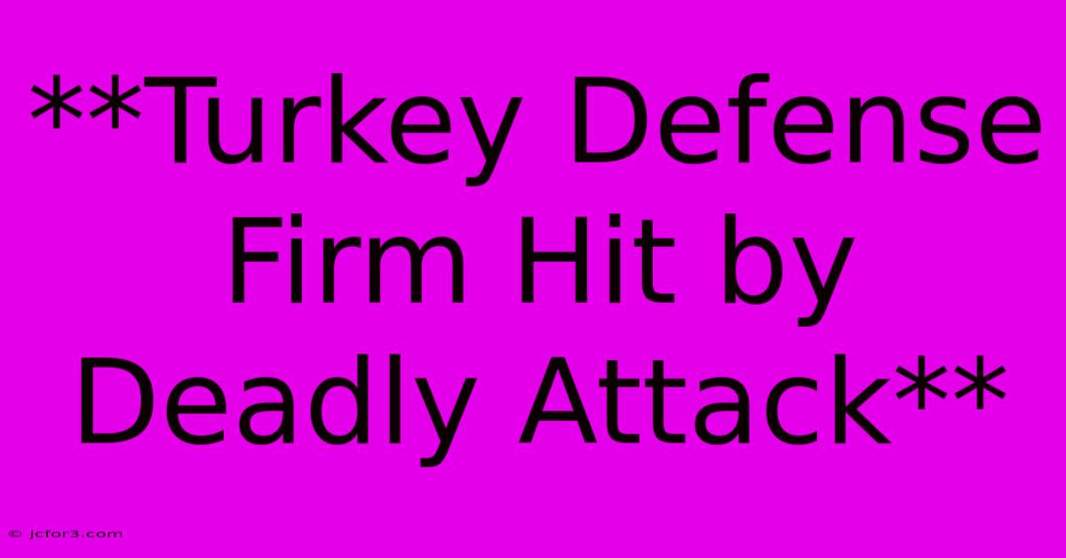 **Turkey Defense Firm Hit By Deadly Attack** 