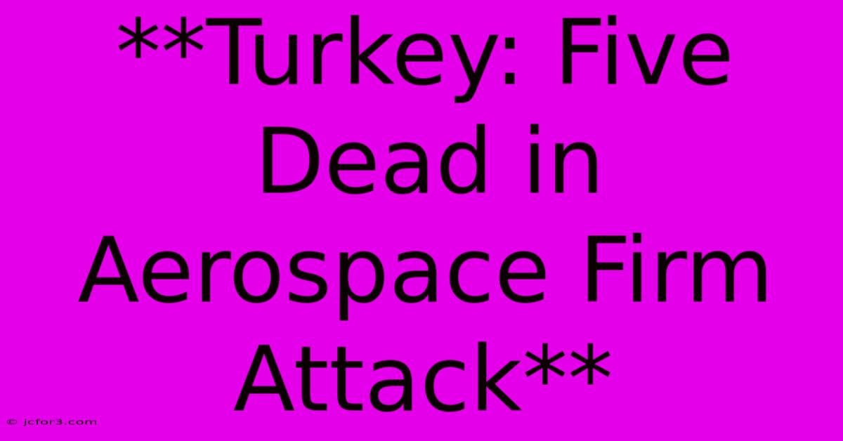 **Turkey: Five Dead In Aerospace Firm Attack**