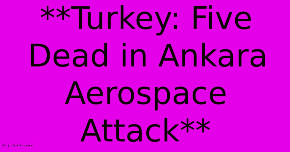 **Turkey: Five Dead In Ankara Aerospace Attack**