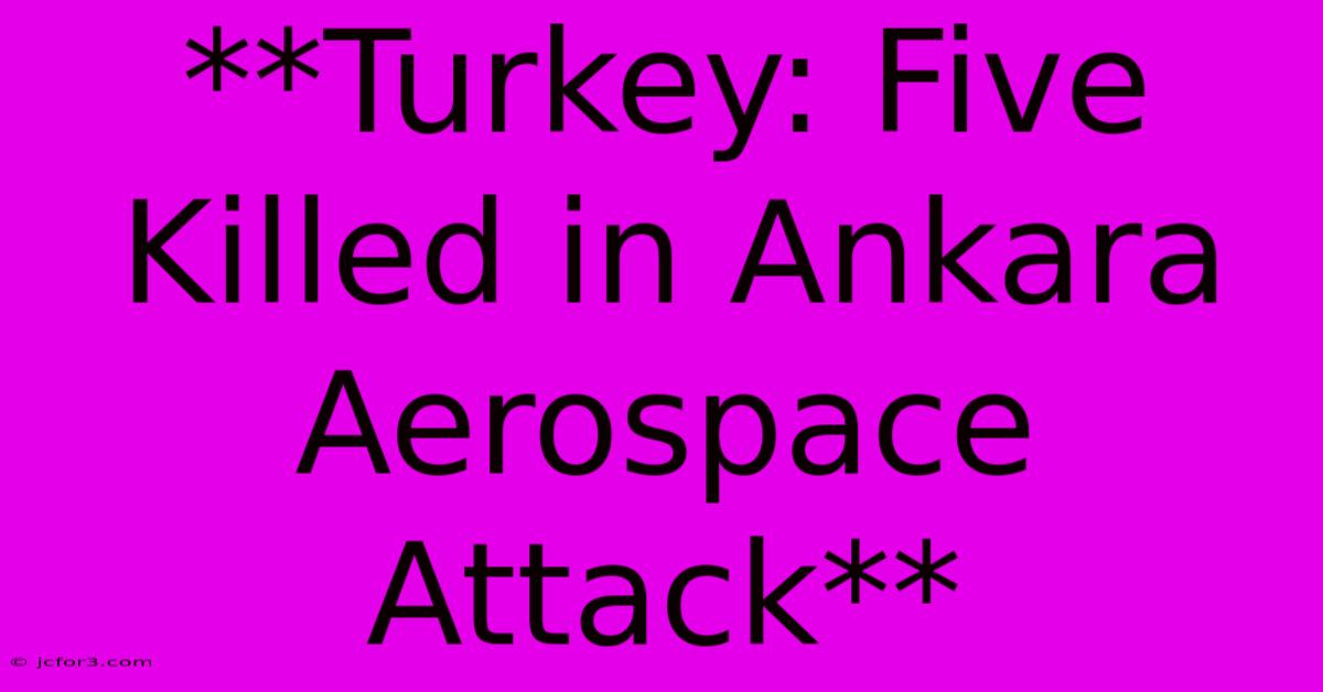 **Turkey: Five Killed In Ankara Aerospace Attack**