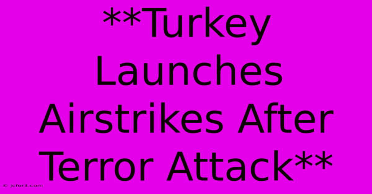 **Turkey Launches Airstrikes After Terror Attack**