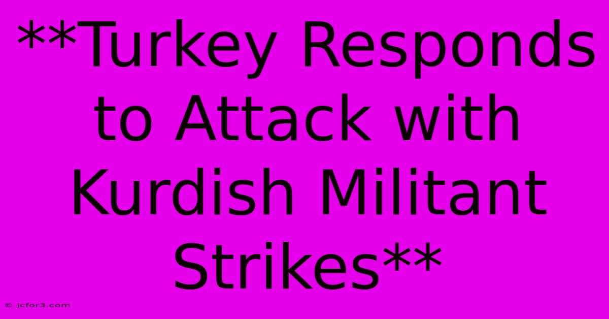 **Turkey Responds To Attack With Kurdish Militant Strikes**