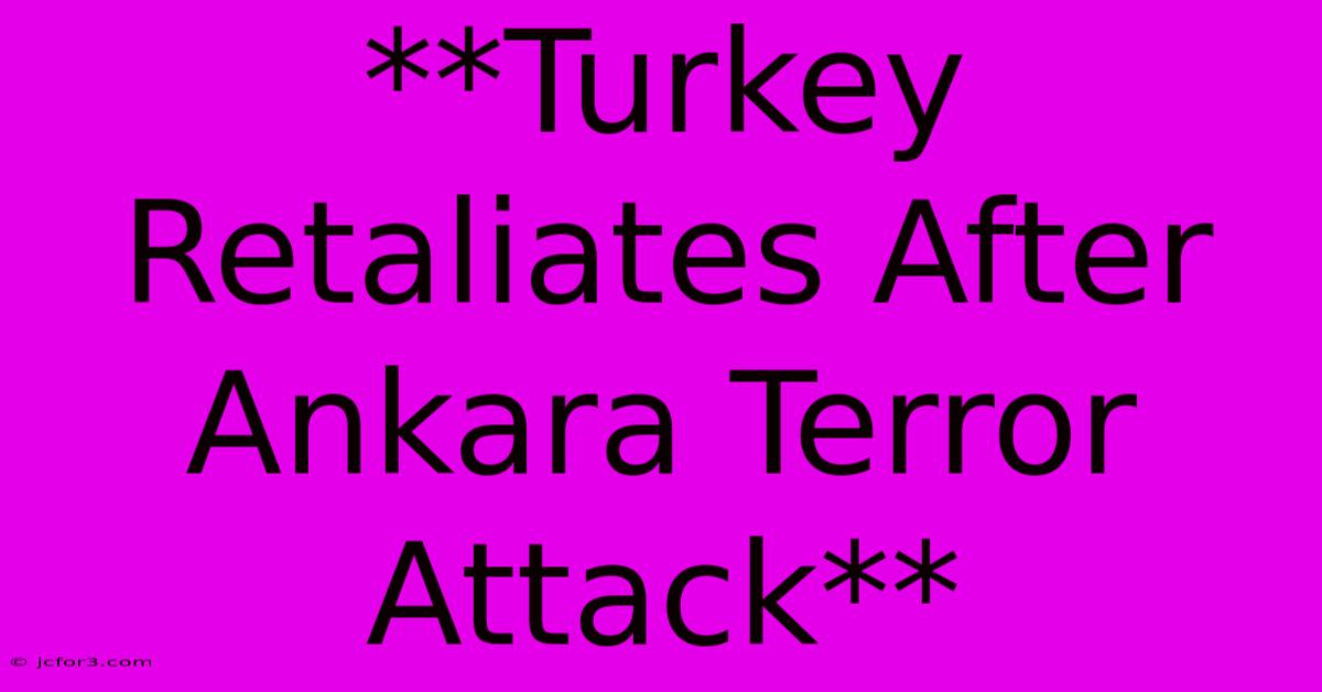 **Turkey Retaliates After Ankara Terror Attack**