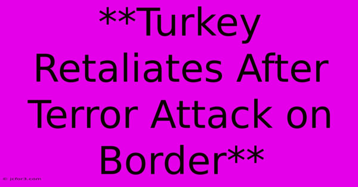 **Turkey Retaliates After Terror Attack On Border**