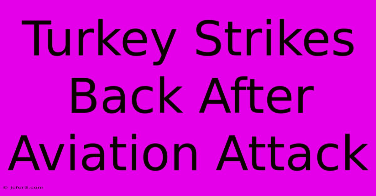 Turkey Strikes Back After Aviation Attack