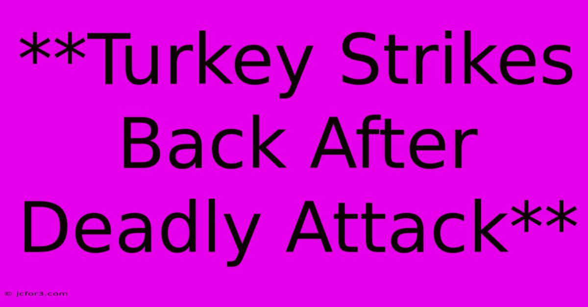 **Turkey Strikes Back After Deadly Attack**