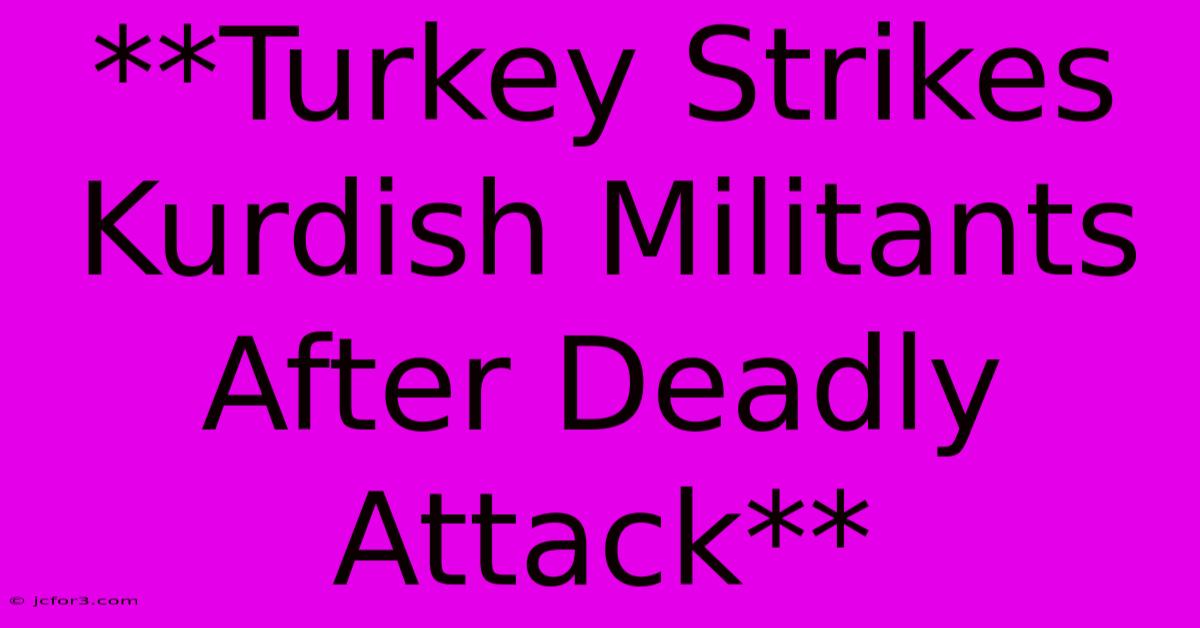 **Turkey Strikes Kurdish Militants After Deadly Attack**