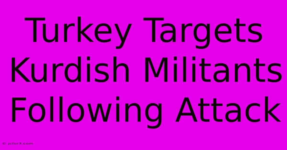 Turkey Targets Kurdish Militants Following Attack 