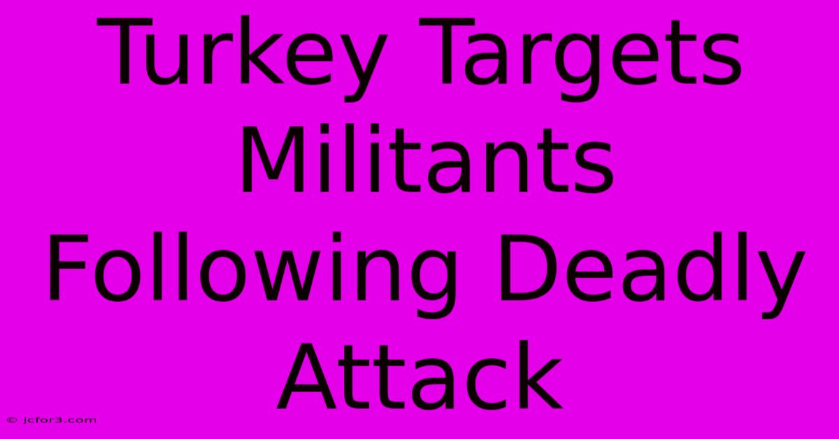 Turkey Targets Militants Following Deadly Attack