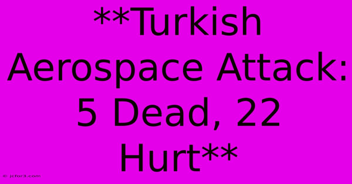 **Turkish Aerospace Attack: 5 Dead, 22 Hurt**