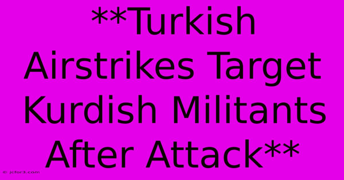 **Turkish Airstrikes Target Kurdish Militants After Attack**