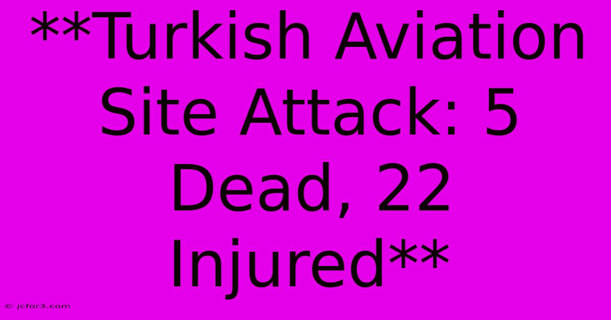 **Turkish Aviation Site Attack: 5 Dead, 22 Injured** 