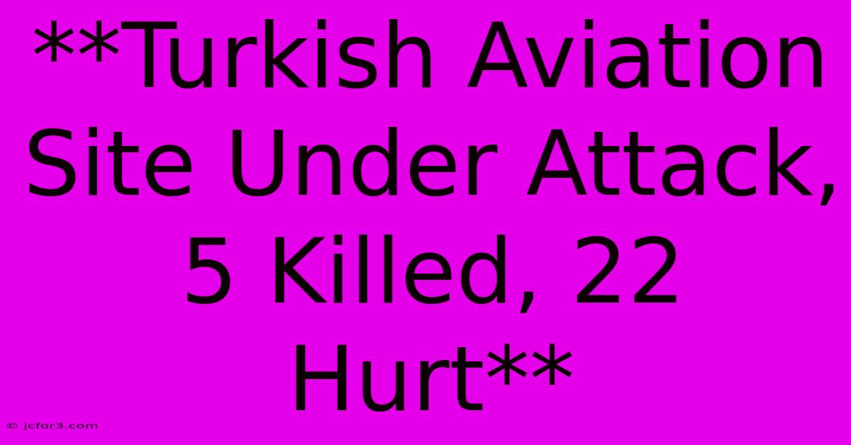 **Turkish Aviation Site Under Attack, 5 Killed, 22 Hurt**