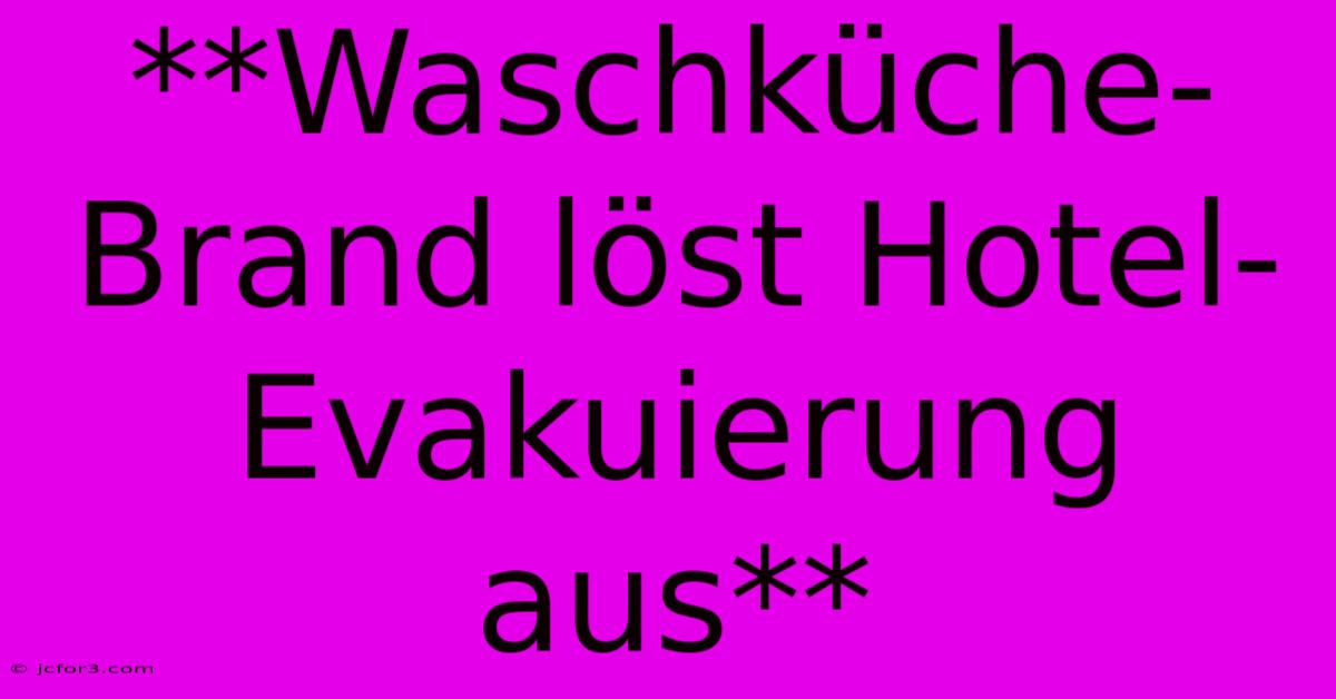 **Waschküche-Brand Löst Hotel-Evakuierung Aus**