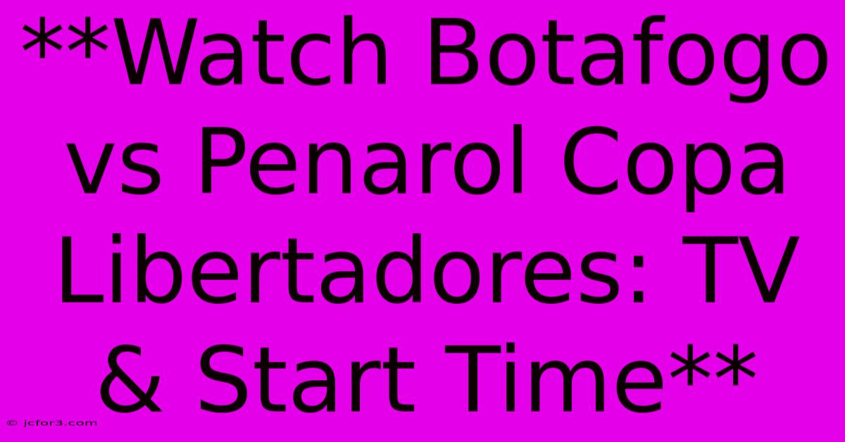 **Watch Botafogo Vs Penarol Copa Libertadores: TV & Start Time** 