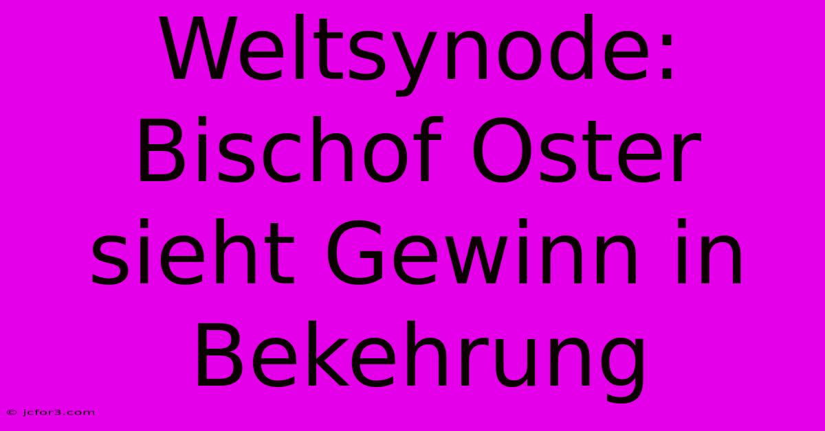 Weltsynode: Bischof Oster Sieht Gewinn In Bekehrung 