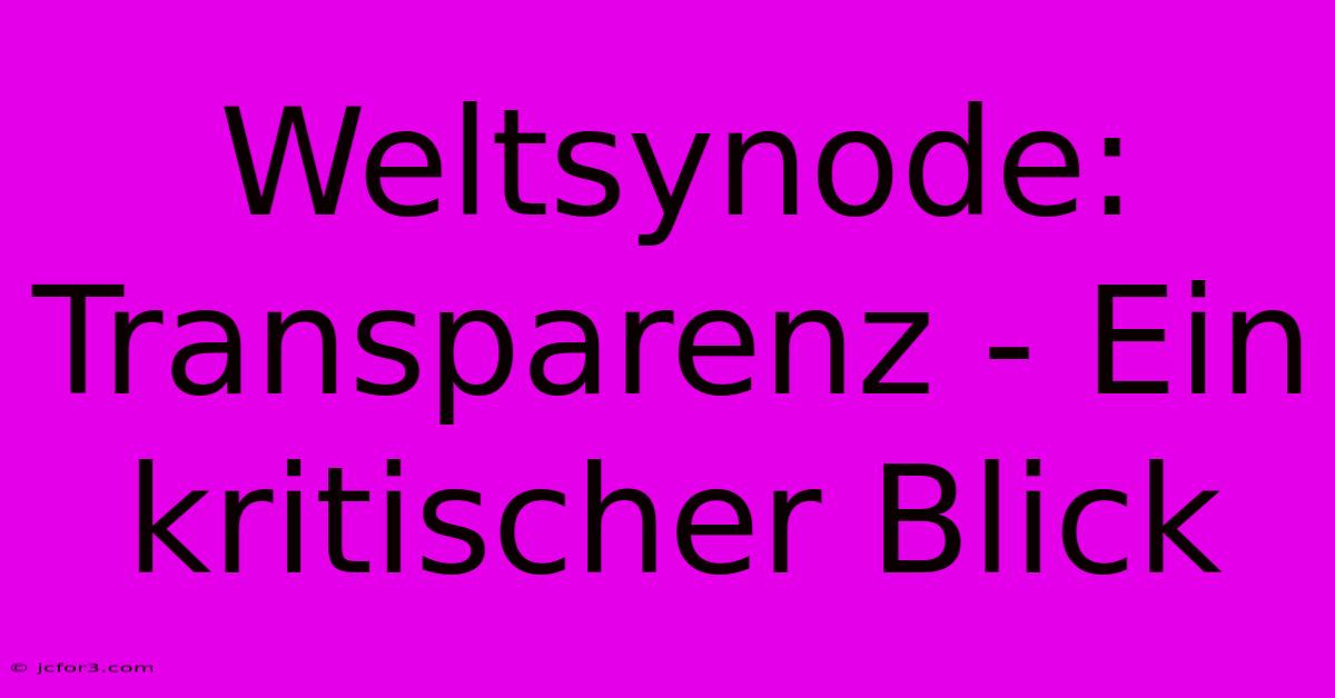 Weltsynode: Transparenz - Ein Kritischer Blick